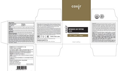 Image Of Carton (Cream Carton)